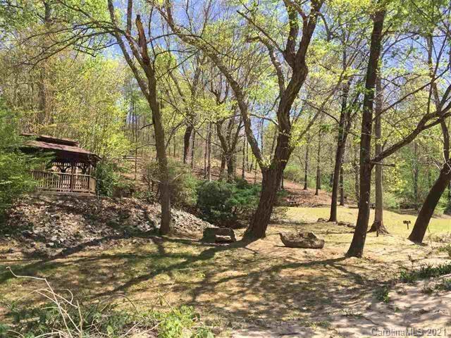 Lot#75 River Ridge Parkway Rutherfordton, NC 28139 - Photo 23 of 26 a view of a yard with plants and trees