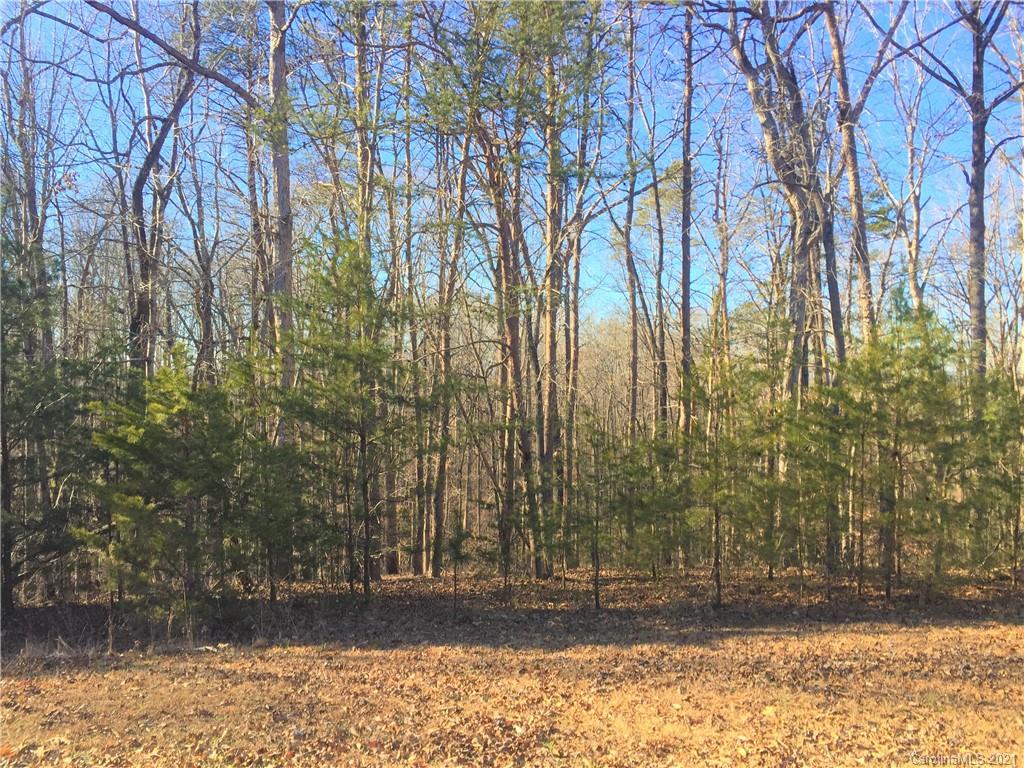 Lot#75 River Ridge Parkway Rutherfordton, NC 28139 - Photo 4 of 26 a view of a backyard of the house