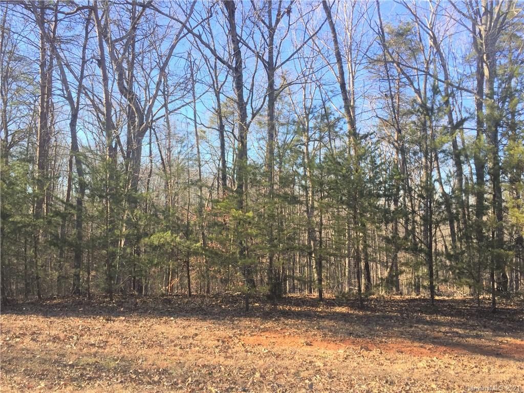 Lot#75 River Ridge Parkway Rutherfordton, NC 28139 - Photo 5 of 26 a street view with large trees