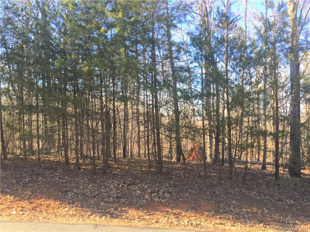 Lot#75 River Ridge Parkway Rutherfordton, NC 28139 - Photo 6 of 26 a backyard of a house with lots of green space