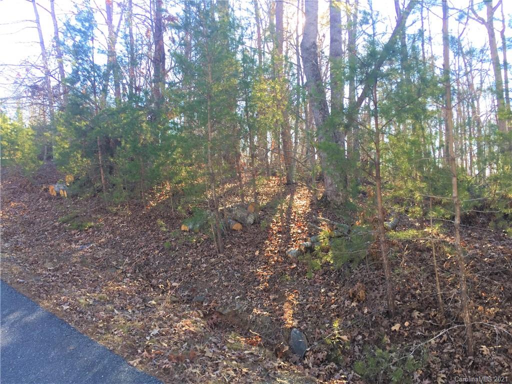 Lot#75 River Ridge Parkway Rutherfordton, NC 28139 - Photo 7 of 26 a view of a forest with lots of trees