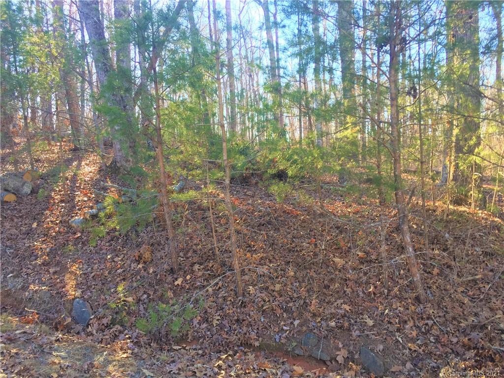 Lot#75 River Ridge Parkway Rutherfordton, NC 28139 - Photo 8 of 26 a view of a yard with plants and trees