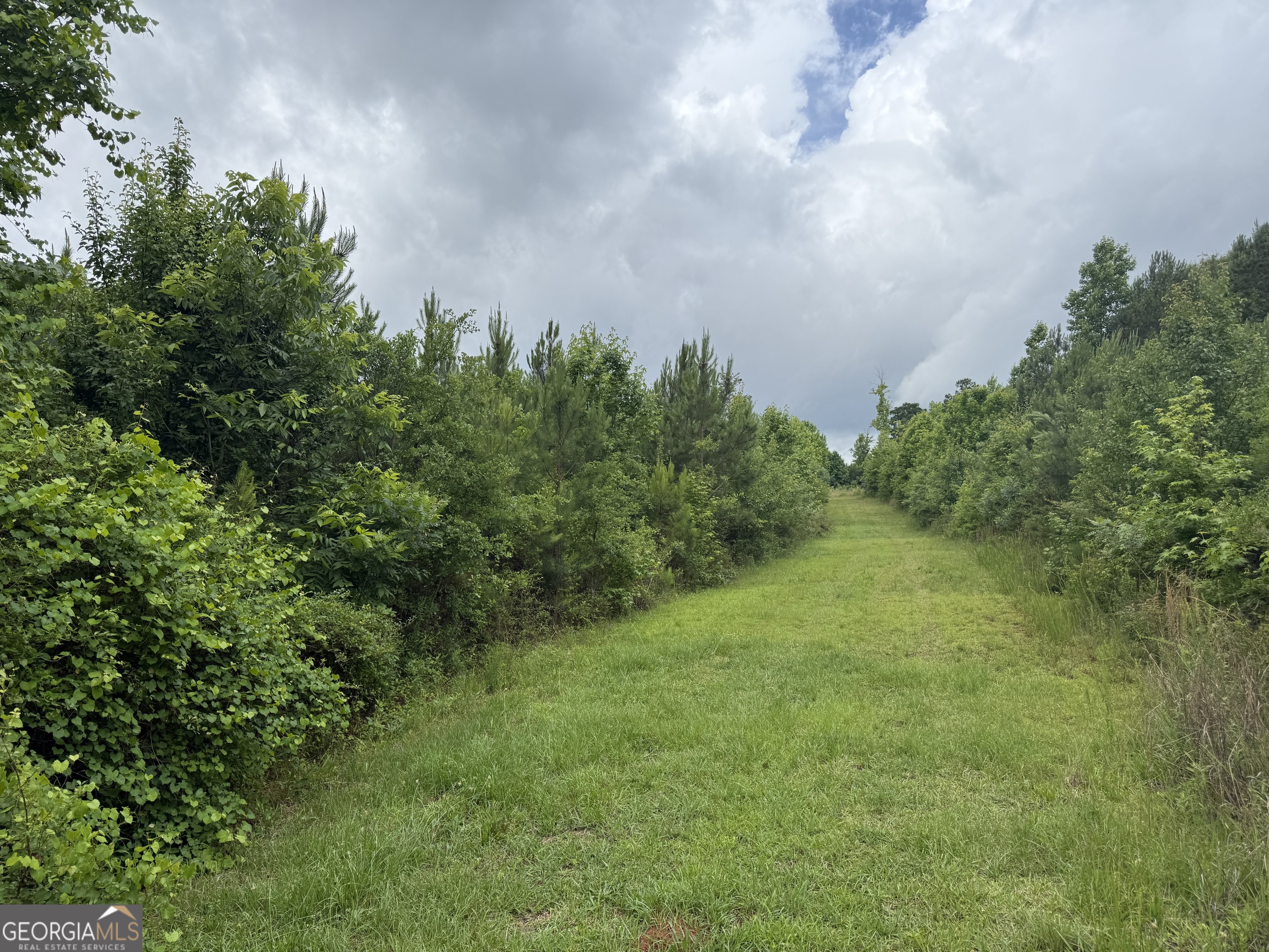 0 Dub Walker Road Jackson, GA 30233 - Photo 1 of 2