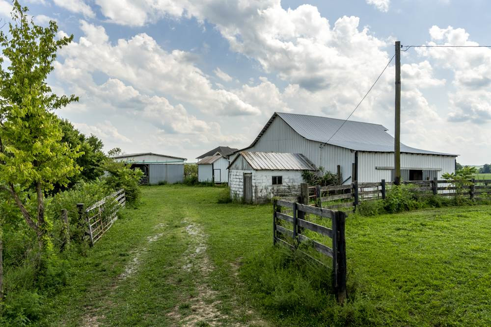 2790 Baton Rouge Road Williamstown, KY 41097 - Photo 36 of 49
