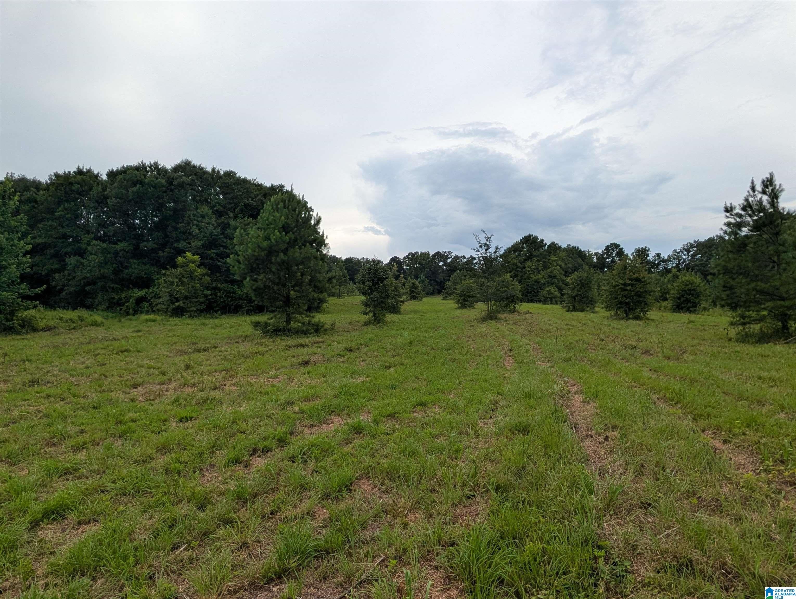 0 Barclay Road Alpine, AL 35014 - Photo 17 of 26 Gallery Image 17