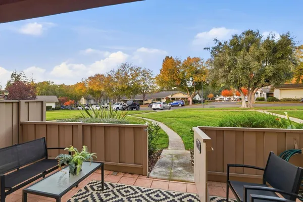 a view of a garden with wooden floor