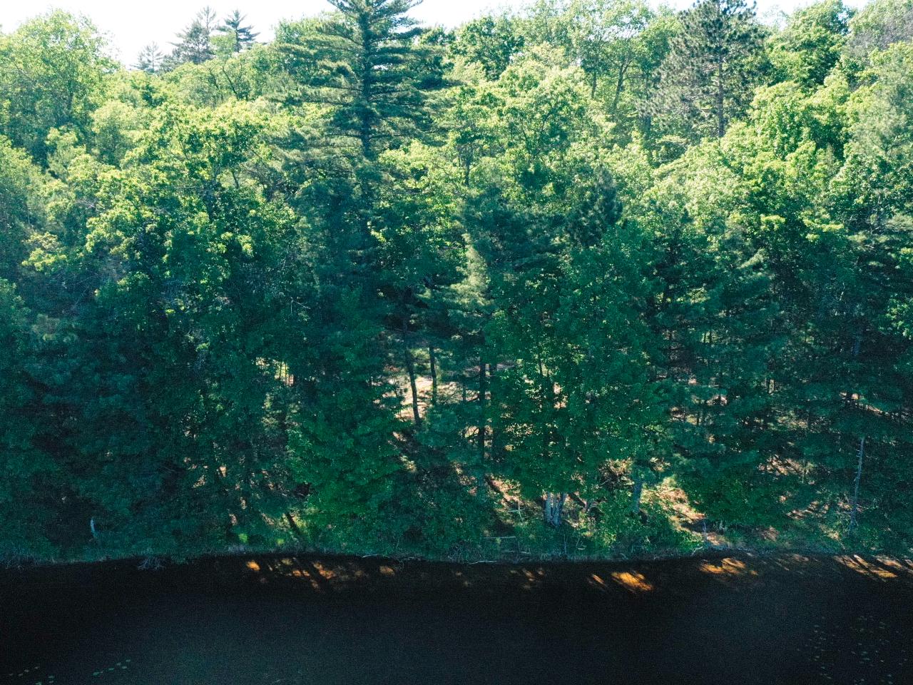 6806 Colonel Himes Road Three Lakes, WI 54562 - Photo 2 of 12 Gallery Image 2