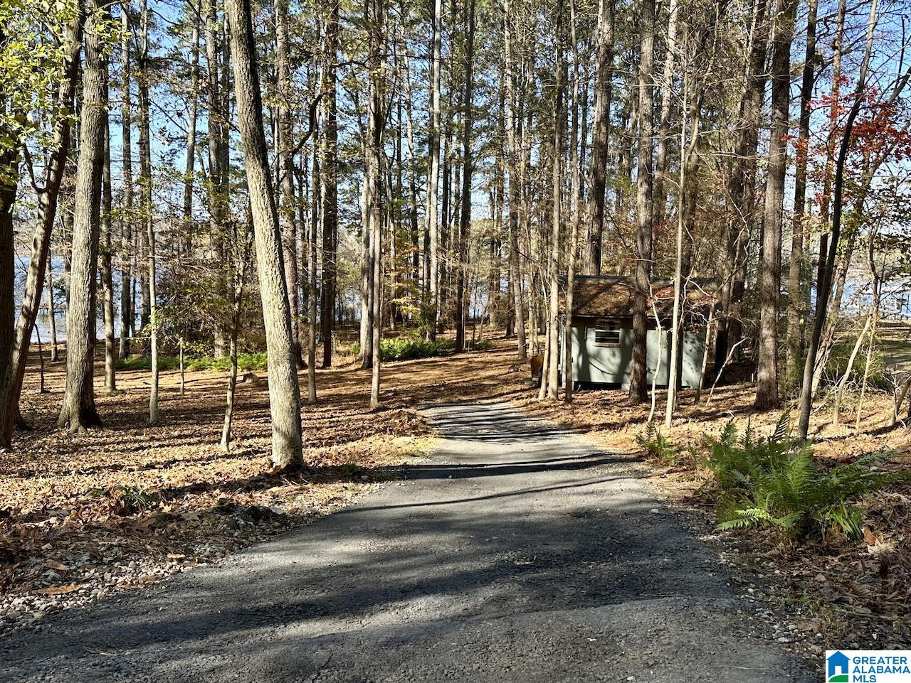 3371 County Road 104 Cedar Bluff, AL 35959 - Photo 61 of 100