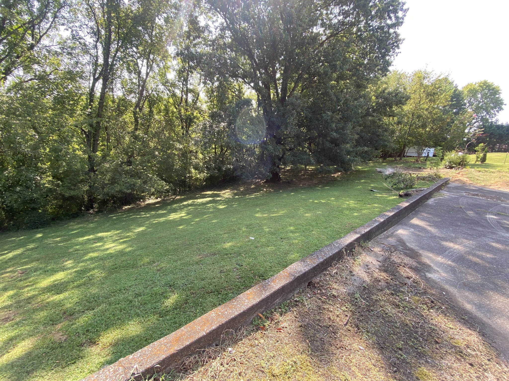4848 Concord Drive Hermitage, TN 37076 - Photo 41 of 42 a view of a field with large trees