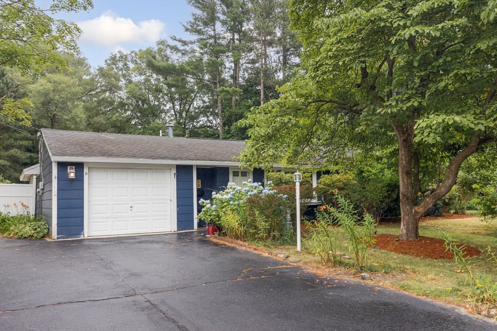 12 Janet Road Chelmsford, MA 01824 - Photo 21 of 21 a view of a house with a yard and plants