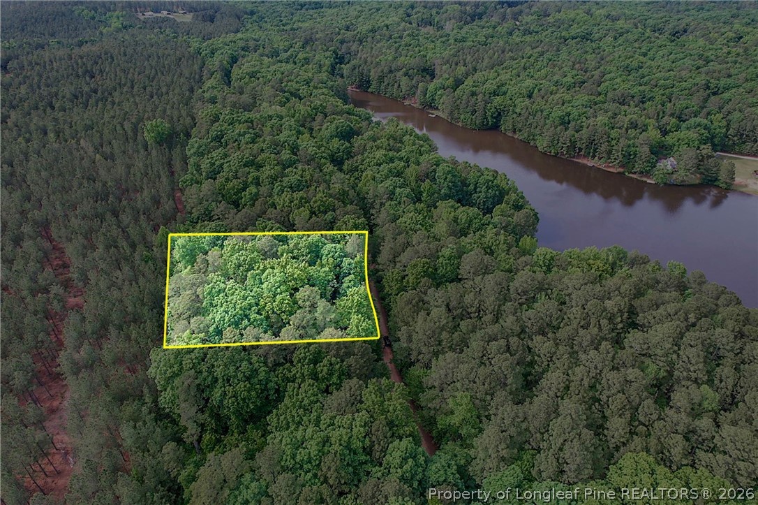 122 Palomino Road Carthage, NC 28327 - Photo 9 of 11 an aerial view of a yard