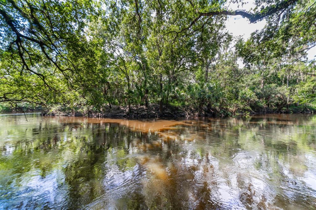 4508 Squirrel Run Way Valrico, FL 33596 - Photo 1 of 1