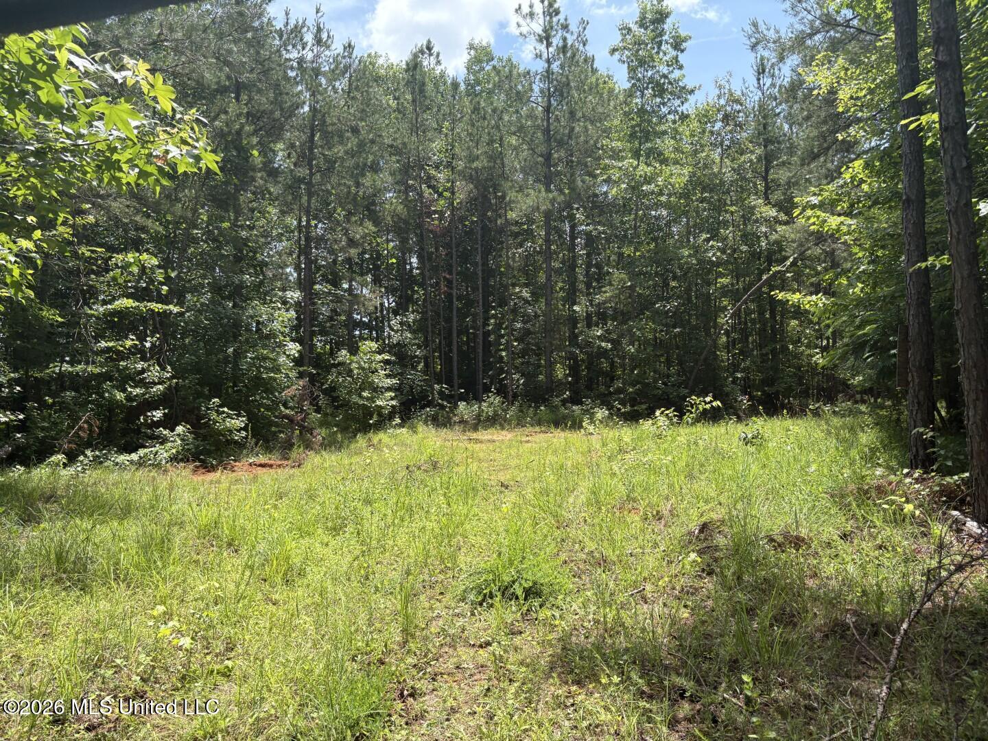 180 County Road New Albany, MS 38652 - Photo 16 of 61 Photo Jun 02 2026, 12 30 52 PM (Large)