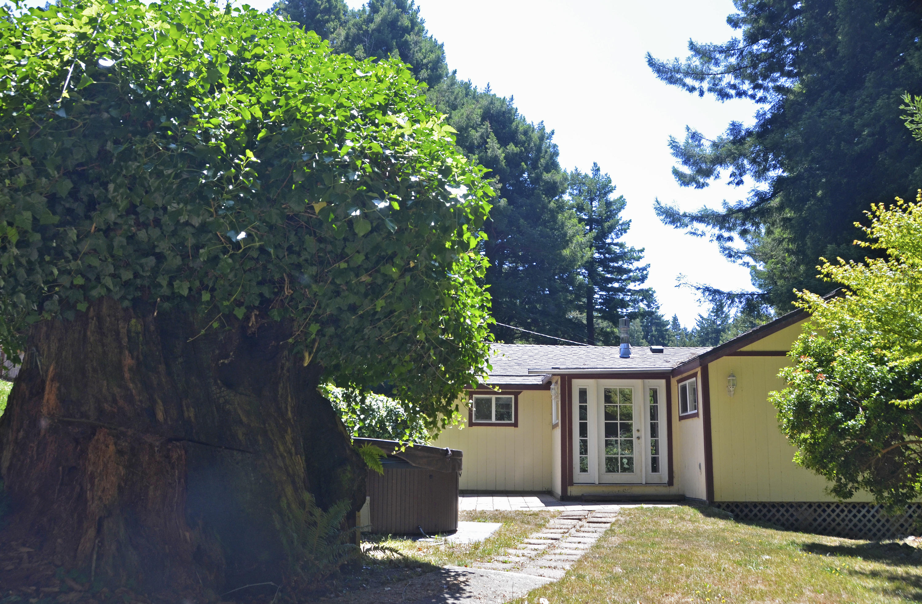 37 Fox Farm Road Trinidad, CA 95570 - Photo 50 of 55