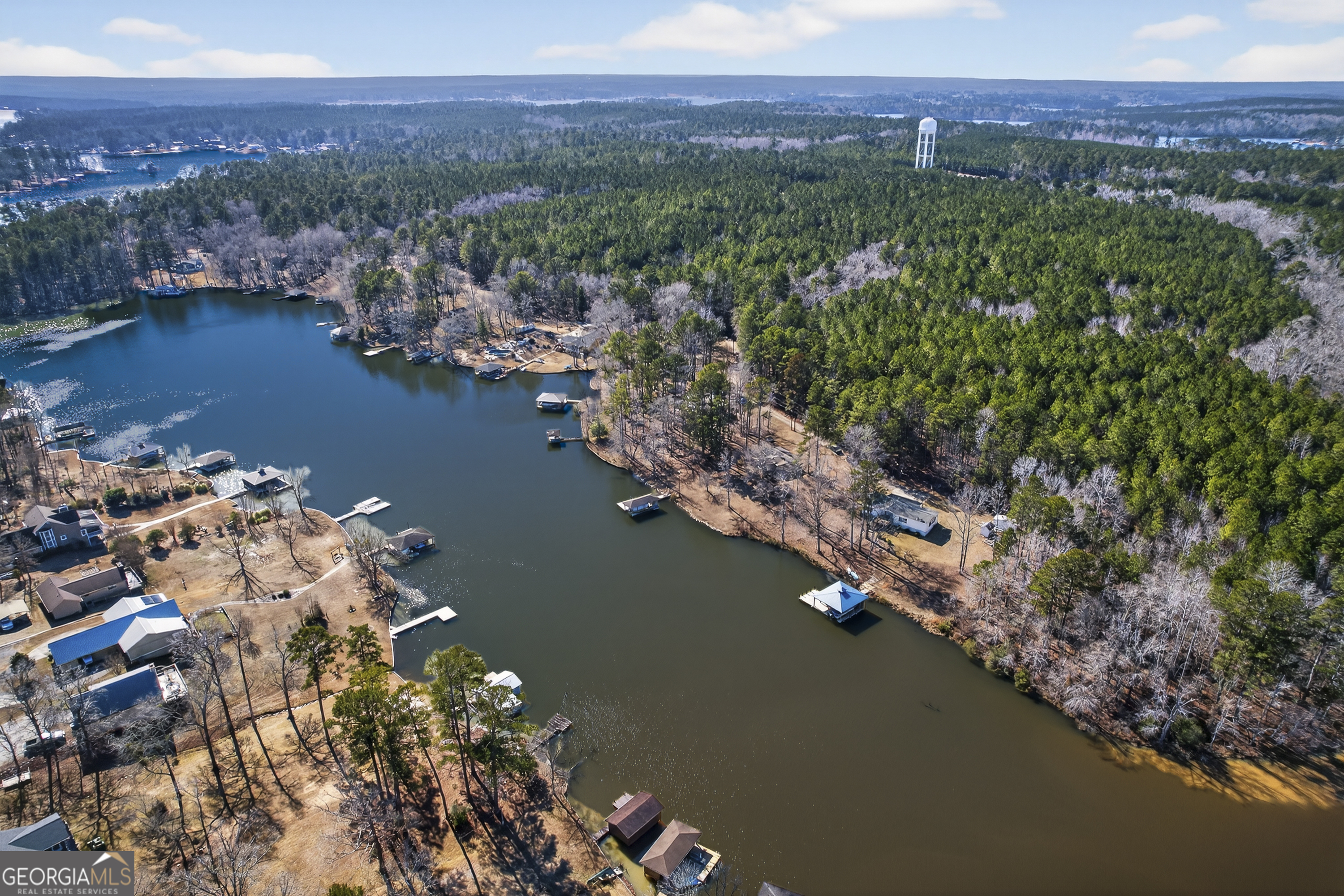 392 Hub Dent Road Northeast Milledgeville, GA 31061 - Photo 60 of 66 a view of a city with lake view