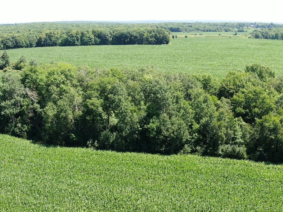 0 110th Frederic, WI 54837 - Photo 2 of 11