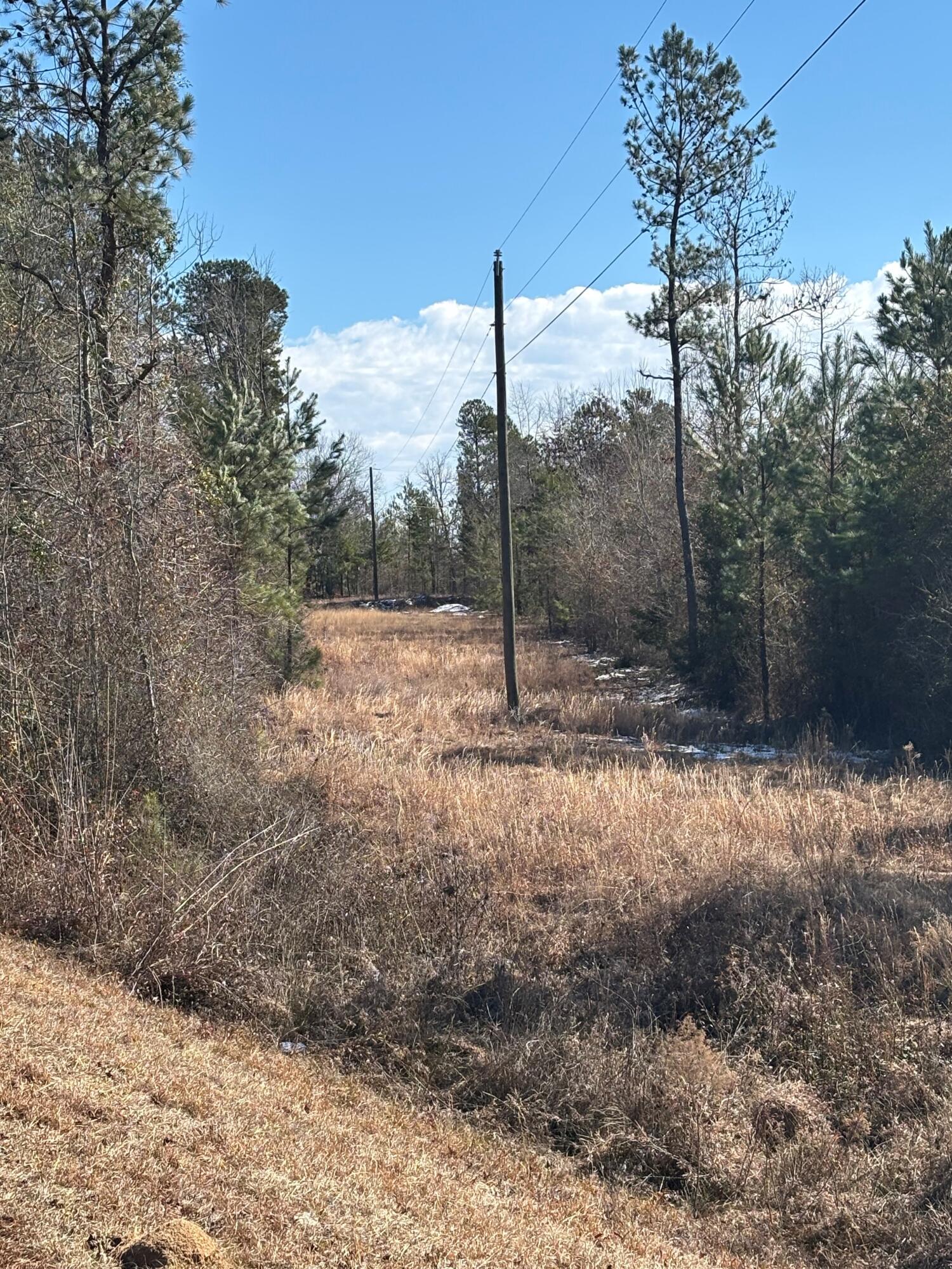 4 East County Line Road Mitchell, GA 30820 - Photo 2 of 3 4- C2