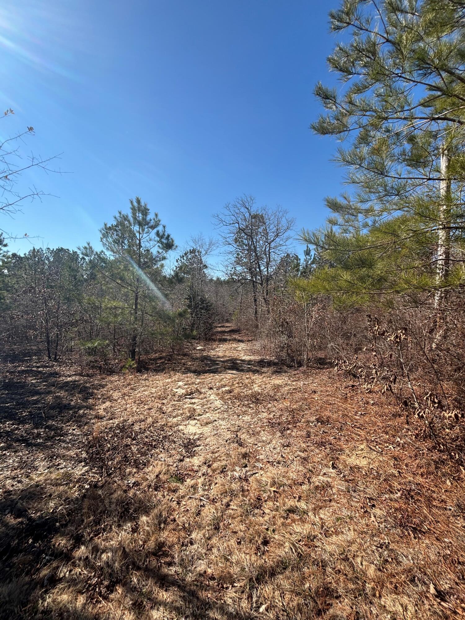 4 East County Line Road Mitchell, GA 30820 - Photo 3 of 3 4-C 1