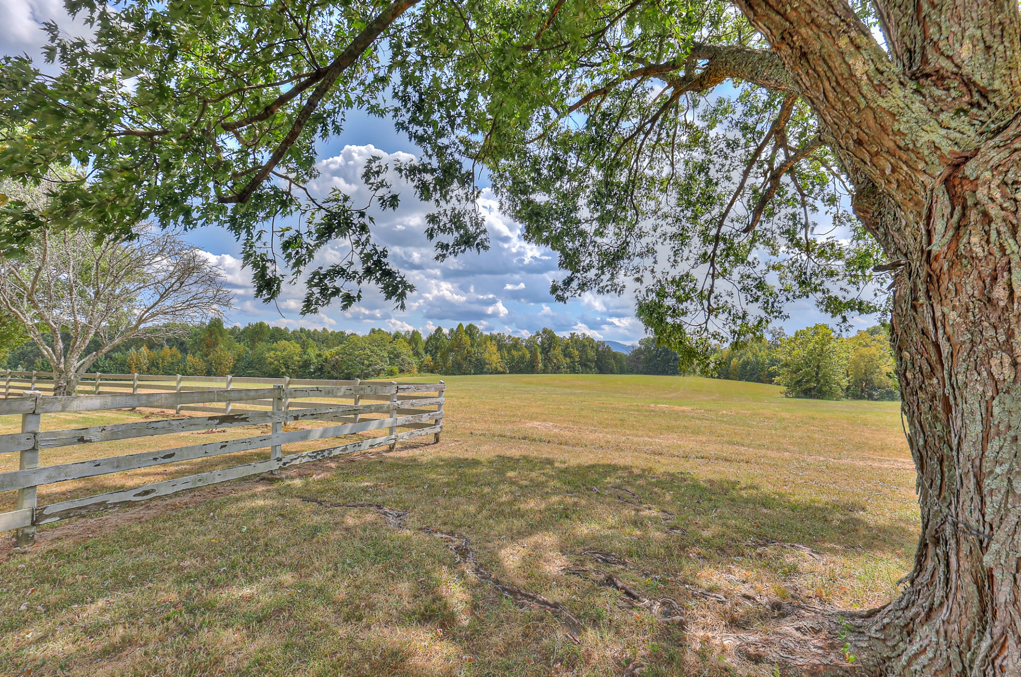 695 Adamson Branch Road Liberty, TN 37095 - Photo 54 of 59
