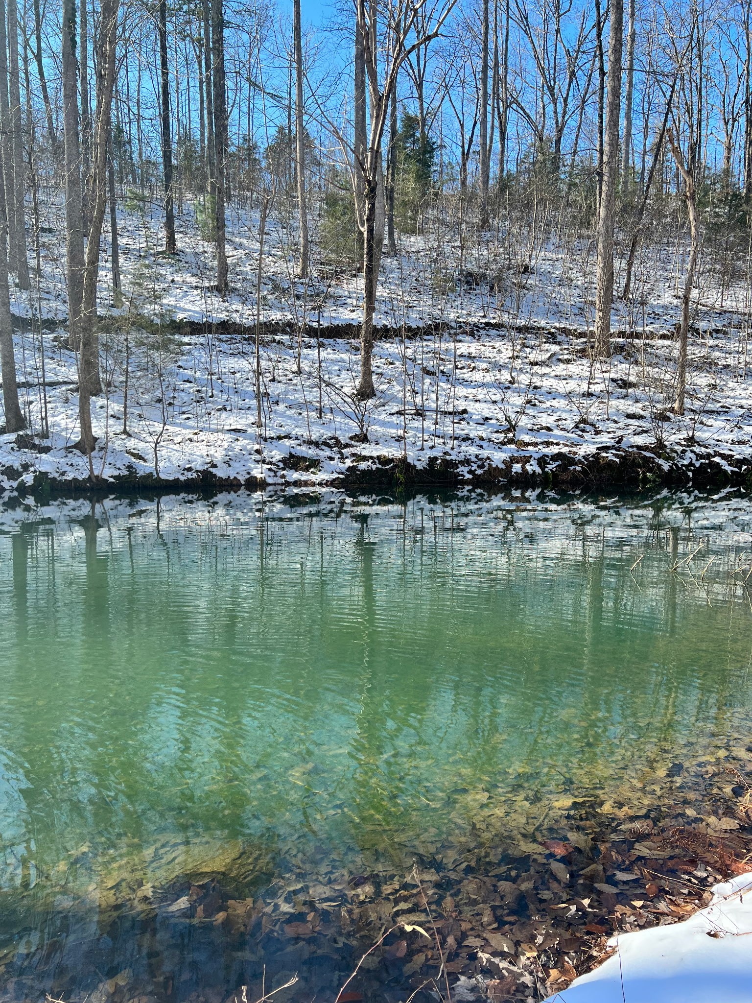 695 Adamson Branch Road Liberty, TN 37095 - Photo 59 of 59 a view of a lake view