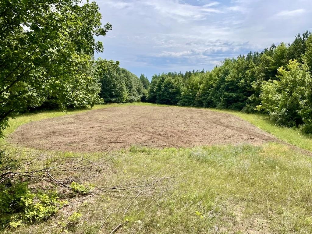0 South Schomberg Road Cedar, MI 49621 - Photo 27 of 70