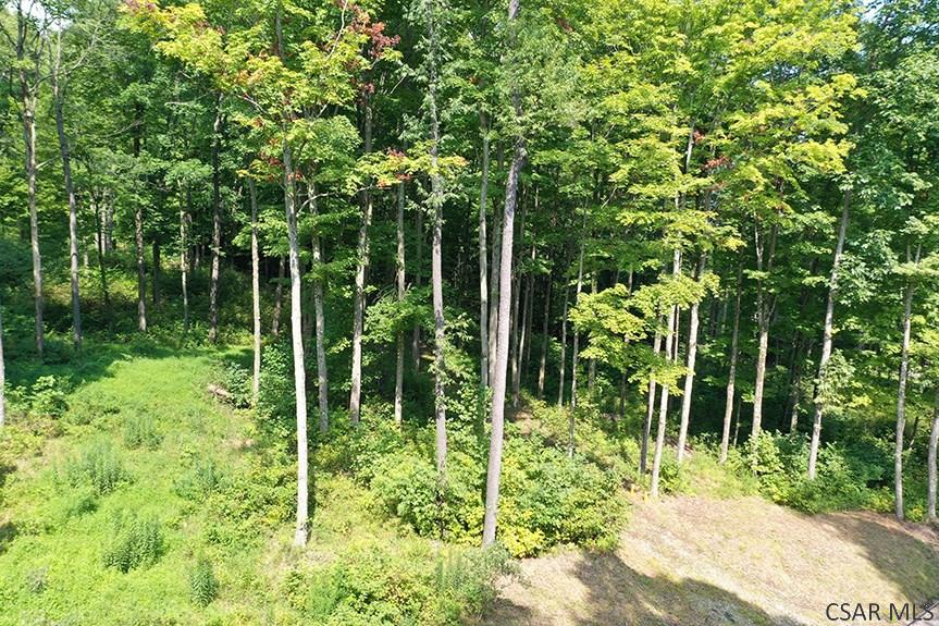 Ridge Road Rockwood, PA 15557 - Photo 17 of 22
