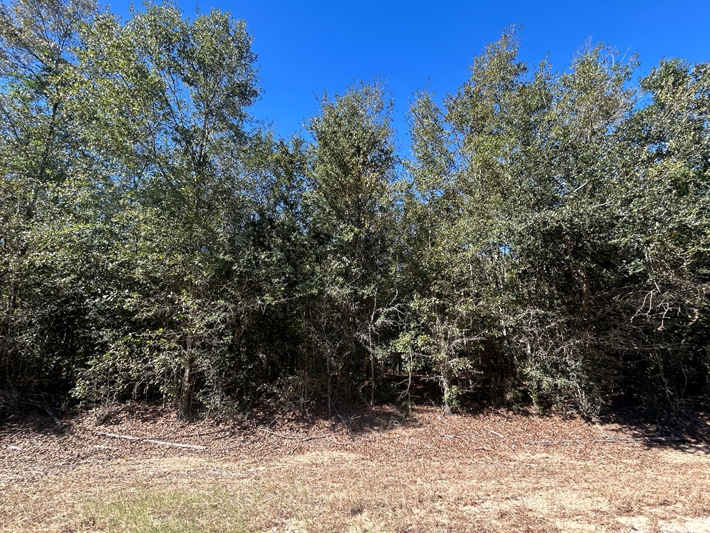 20-ac Coot Adams Road Ashford, AL 36312 - Photo 12 of 28