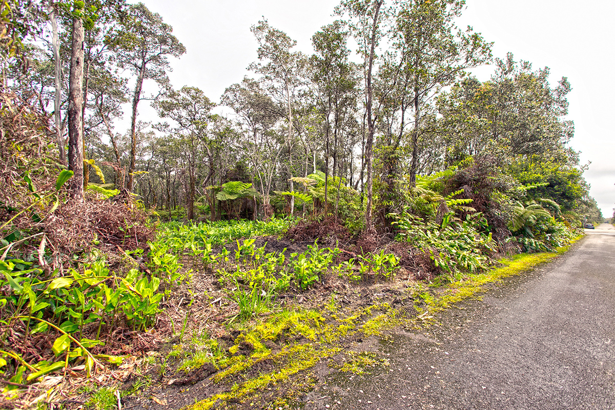 779 9th Street Volcano, HI 96785 - Photo 6 of 9 Gallery Image 6