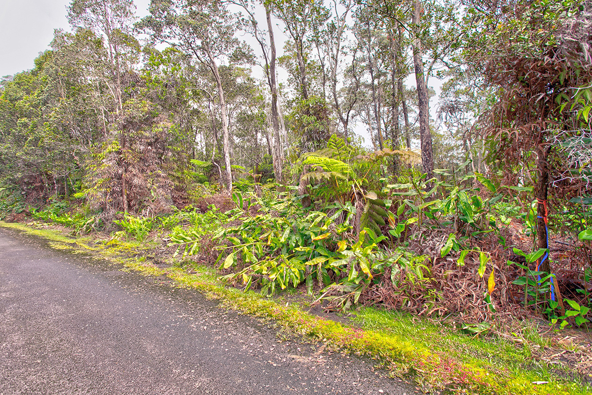 779 9th Street Volcano, HI 96785 - Photo 7 of 9 Gallery Image 7