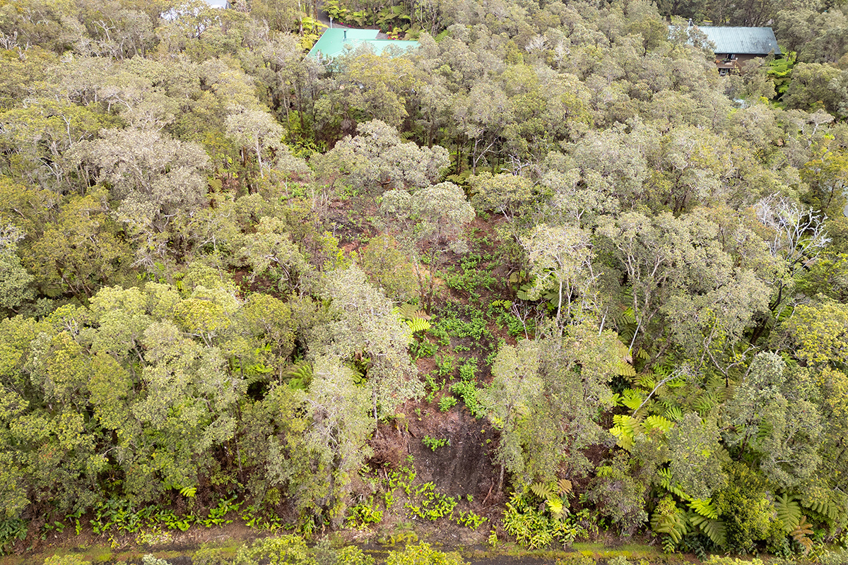 779 9th Street Volcano, HI 96785 - Photo 9 of 9 Gallery Image 9