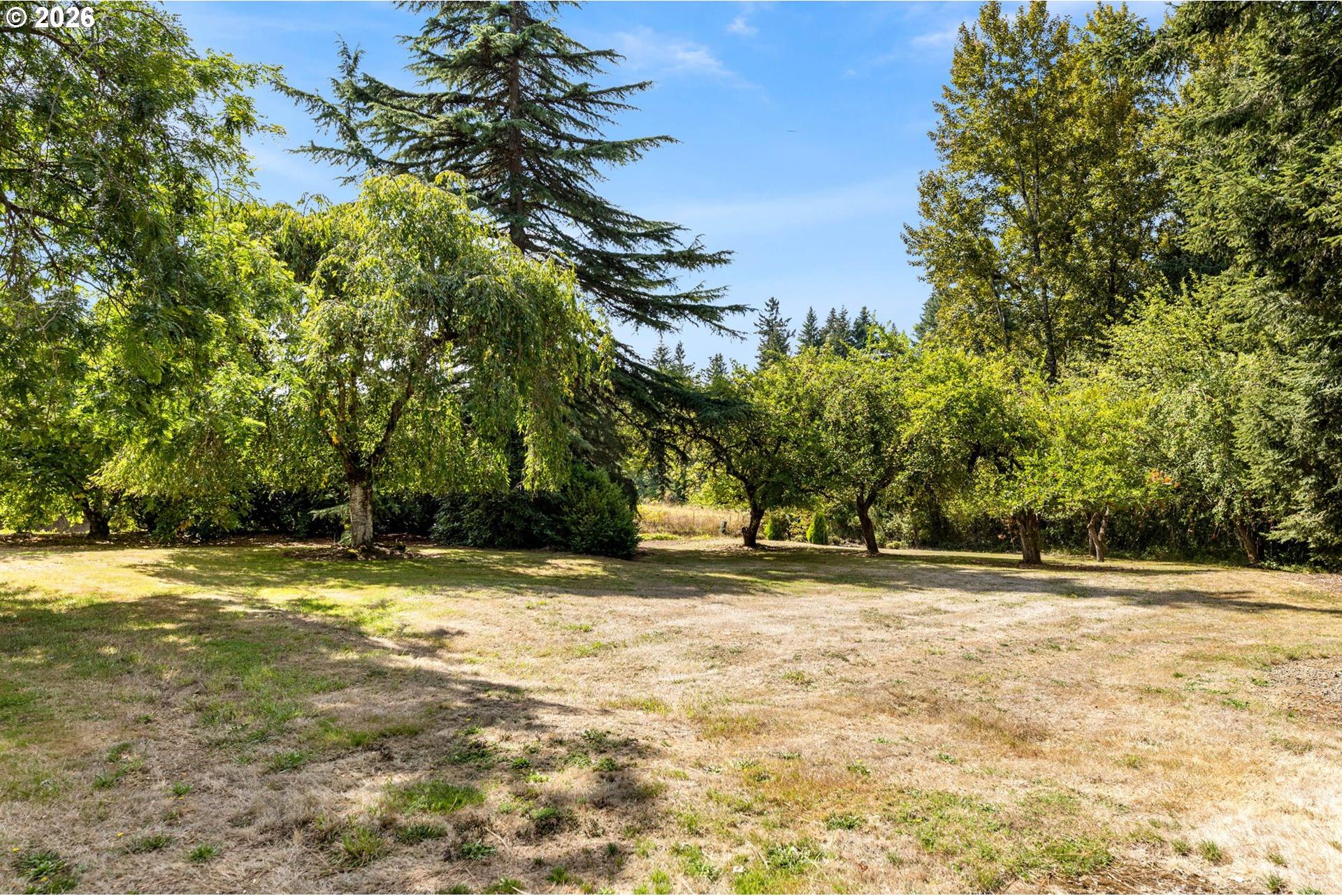 102 Northwest 164th Street Ridgefield, WA 98642 - Photo 24 of 28 Gallery Image 24