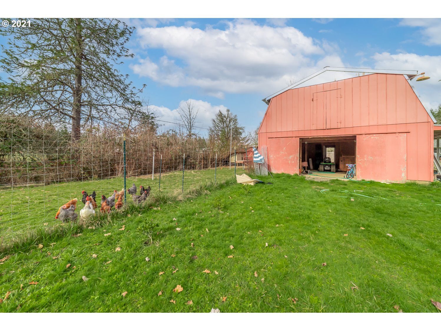 25766 Perkins Road Veneta, OR 97487 - Photo 32 of 32 Gallery Image 32