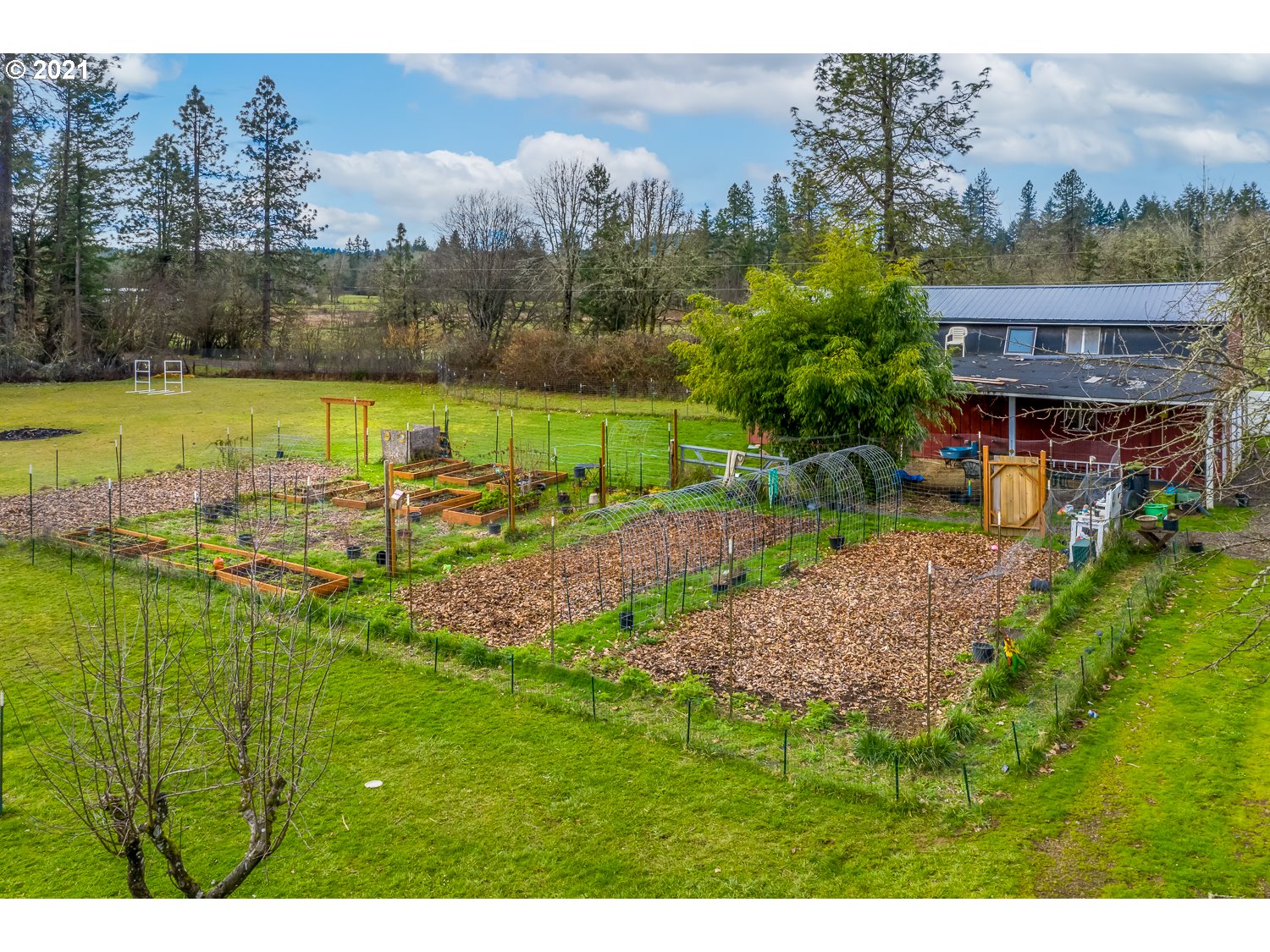 25766 Perkins Road Veneta, OR 97487 - Photo 8 of 32 Gallery Image 8