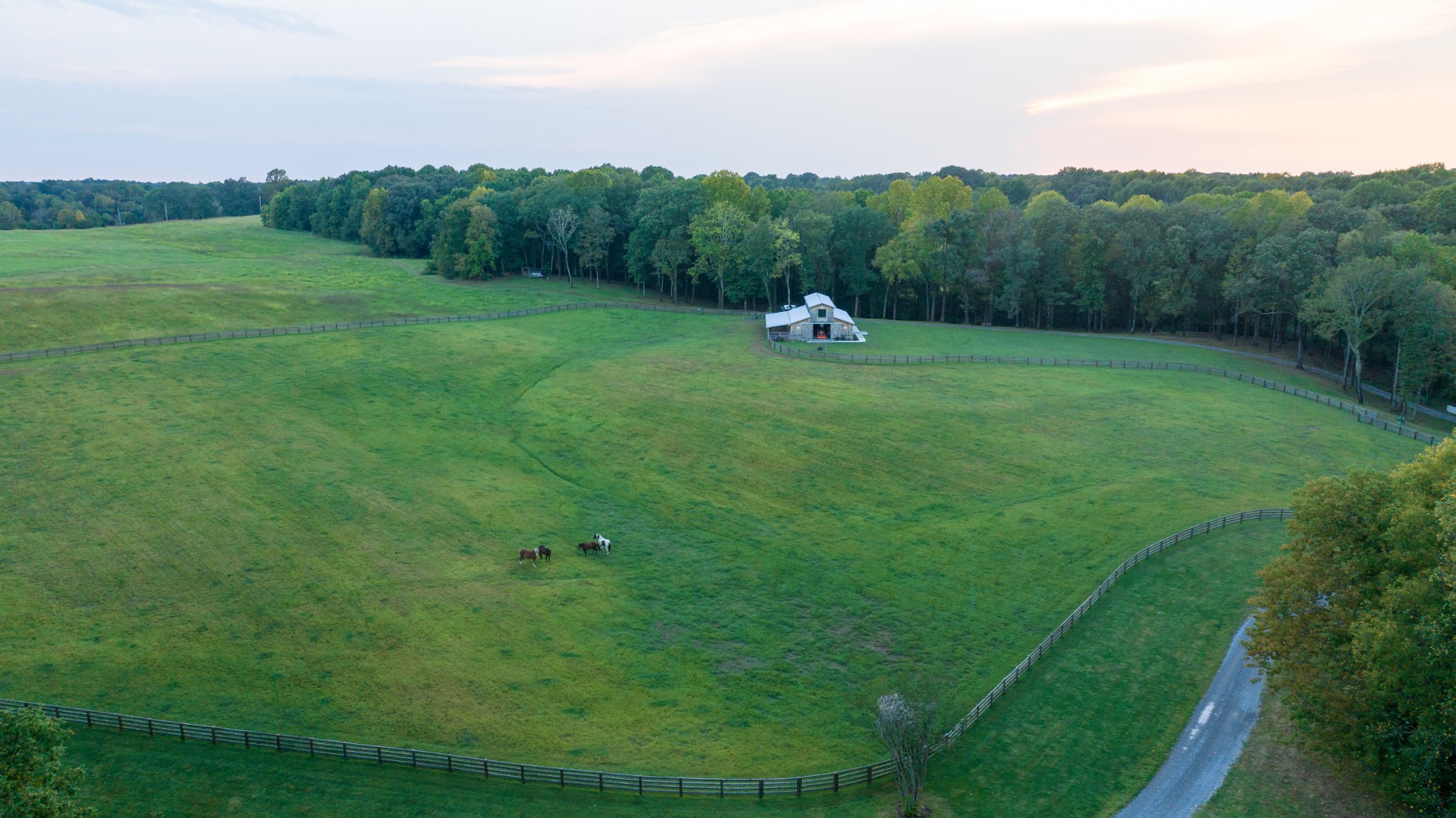 3795 Turnersville Road Cedar Hill, TN 37032 - Photo 16 of 22 a view of a green field with trees in the background