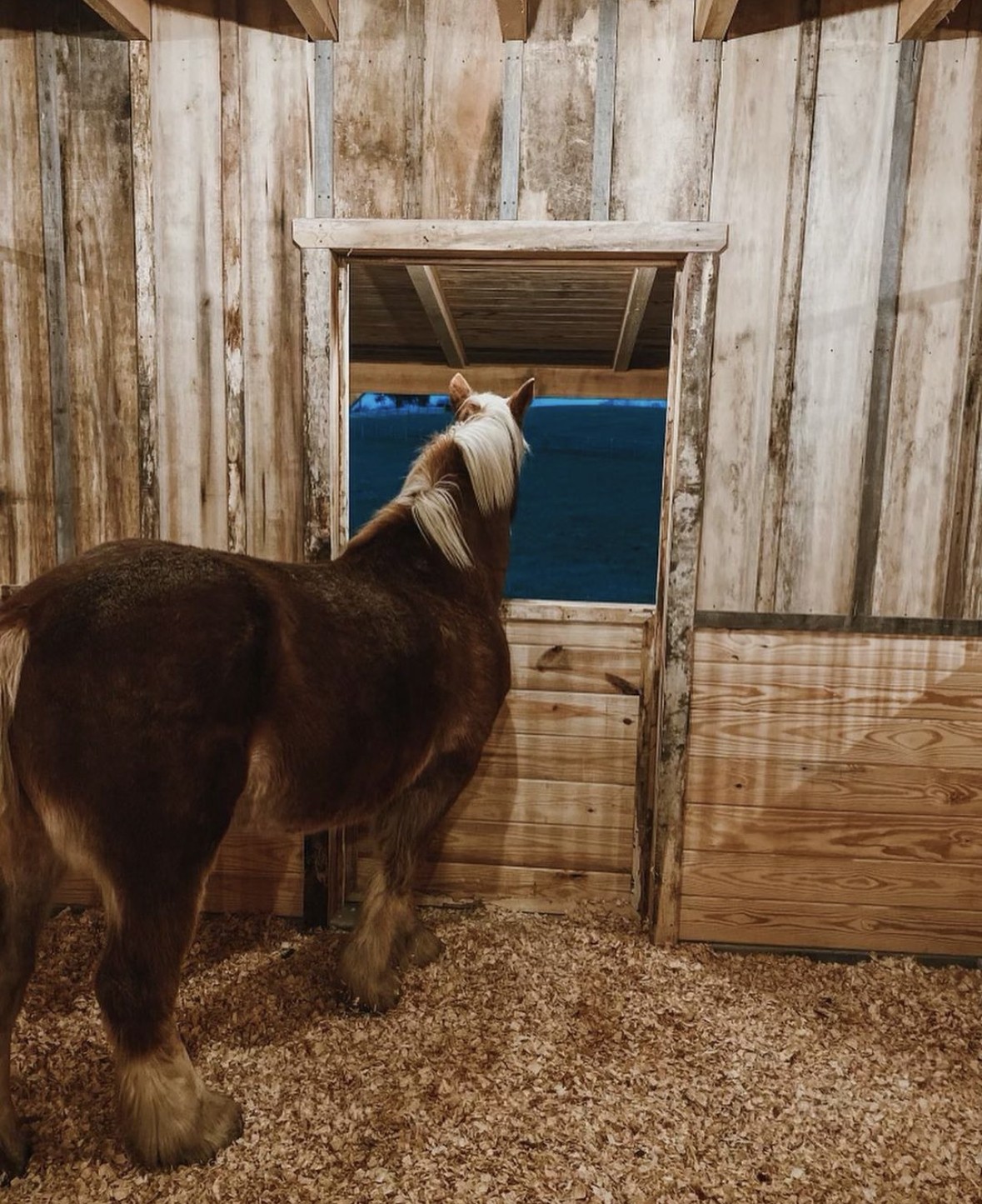 3795 Turnersville Road Cedar Hill, TN 37032 - Photo 20 of 22 a bedroom with a bed and a window