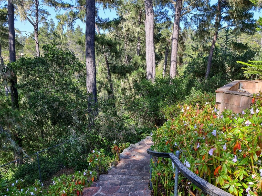 455 Chiswick Way Cambria, CA 93428 - Photo 56 of 70