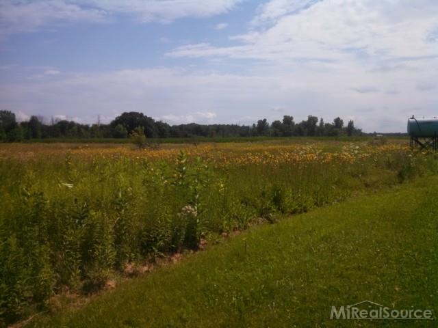 7663 Avoca Road Avoca, MI 48006 - Photo 21 of 23 This is a view of the field.