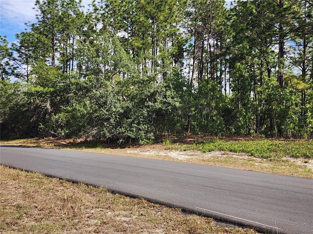 6086 Southwest 154th Lane Road Ocala, FL 34473 - Photo 2 of 35