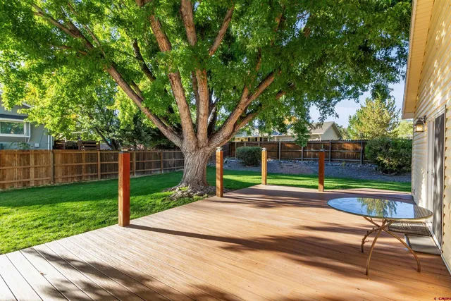 a park view with a bench and trees