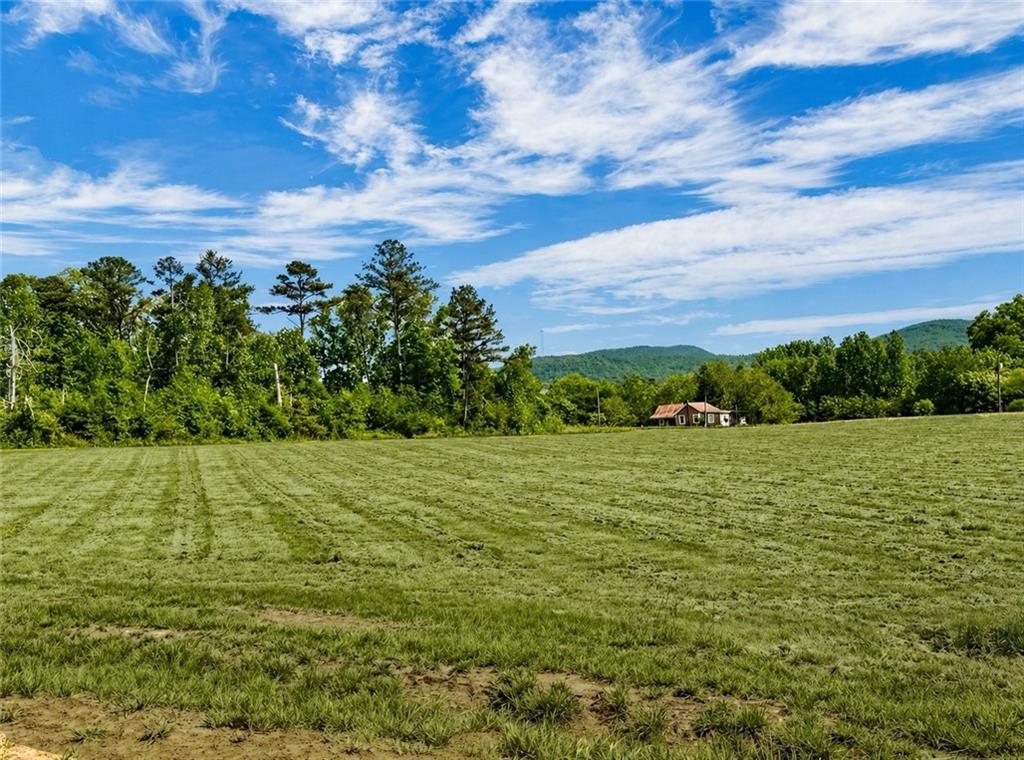 a view of a big yard with lots of green space