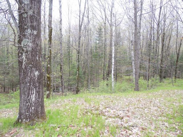 N6421 Langes Road Irma, WI 54442 - Photo 6 of 15 Gallery Image 6