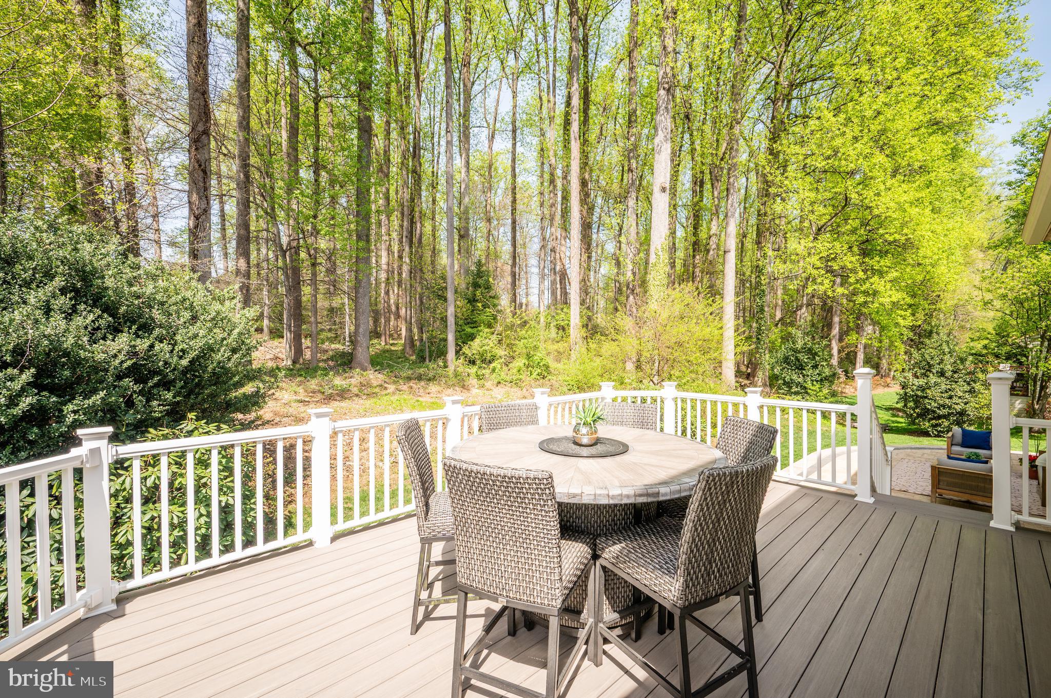 9380 Colbert Court Fairfax, VA 22032 - Photo 12 of 59