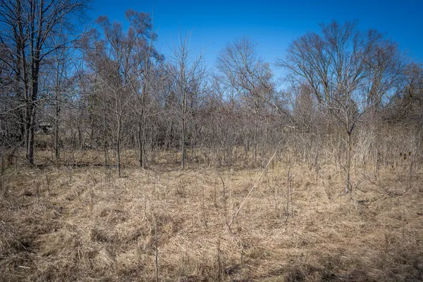 $69,000 | 300 Woodstock Street, Unit 5 ACRES, Cement City, MI 49233