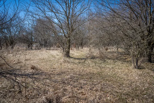 $69,000 | 300 Woodstock Street, Unit 5 ACRES, Cement City, MI 49233