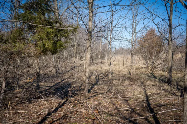 $69,000 | 300 Woodstock Street, Unit 5 ACRES, Cement City, MI 49233