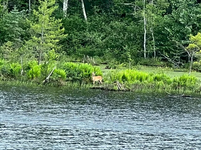 $399,900 | W9694 Highway 70, Park Falls, WI 54552