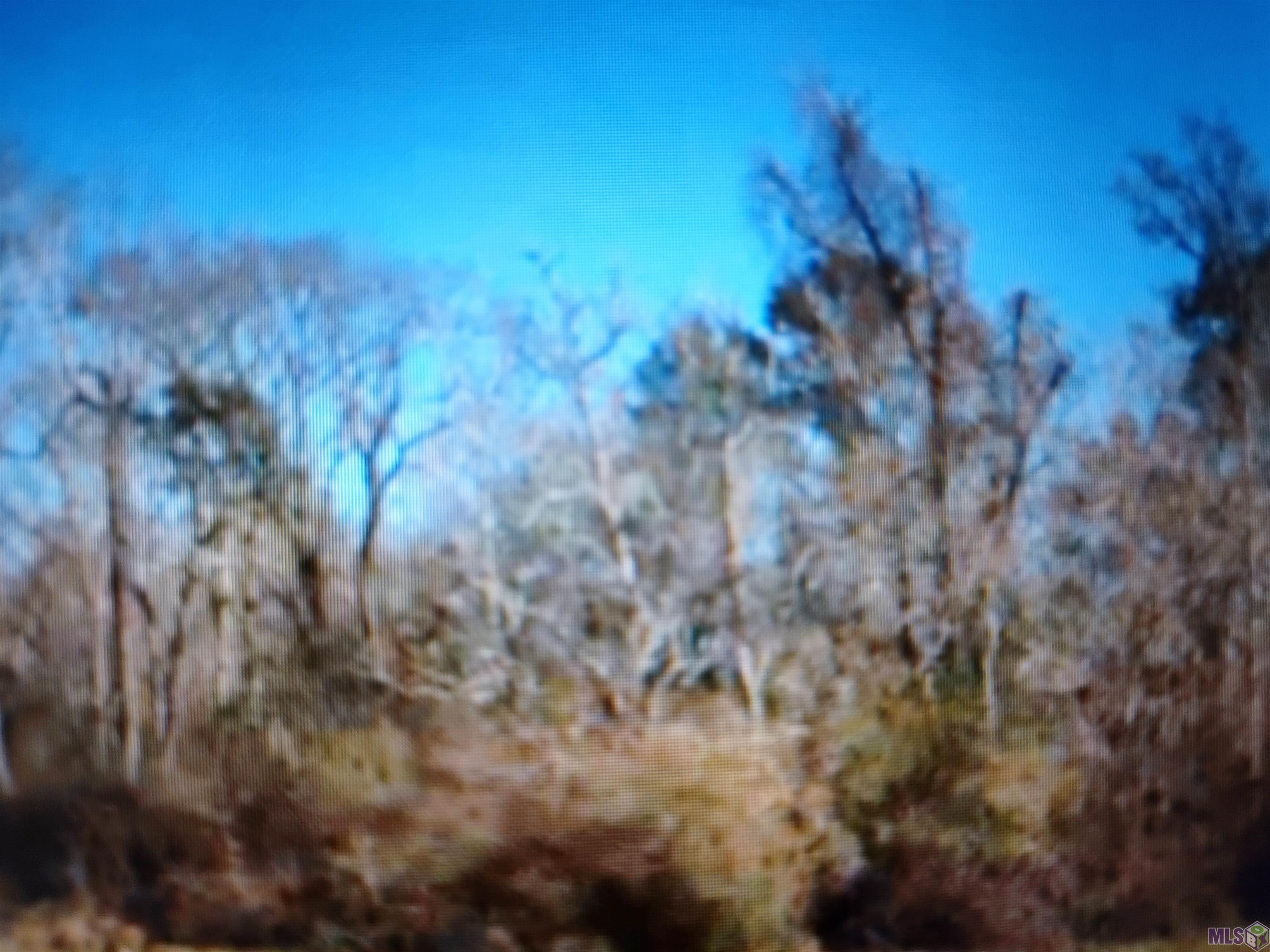 Tbd A. J. Leblanc Road Greenwell Springs, LA 70739 - Photo 2 of 2