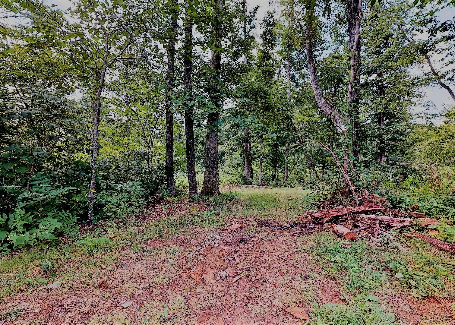 779 Poplar Springs Road, Unit 10 Greeneville, TN 37743 - Photo 8 of 43 7