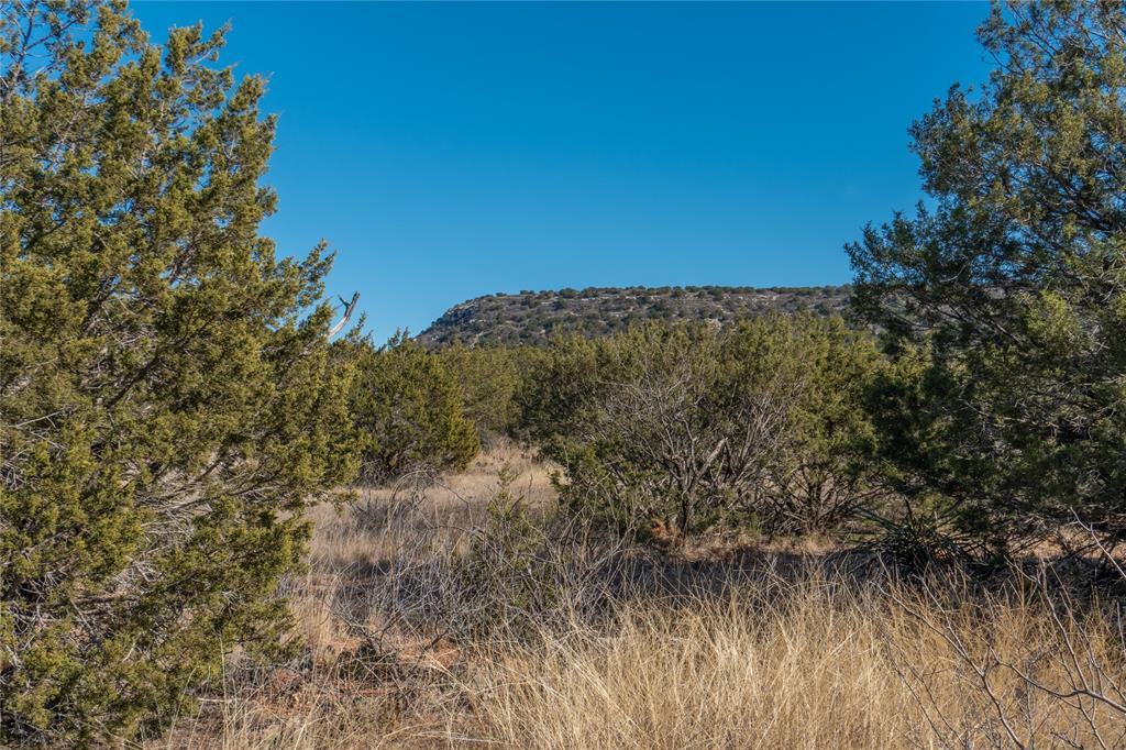 T3 County Road 175 Winters, TX 79567 - Photo 11 of 27
