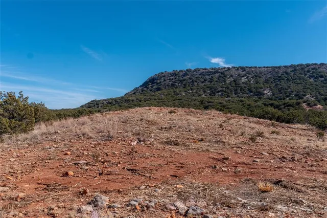 a view of a lush green forest